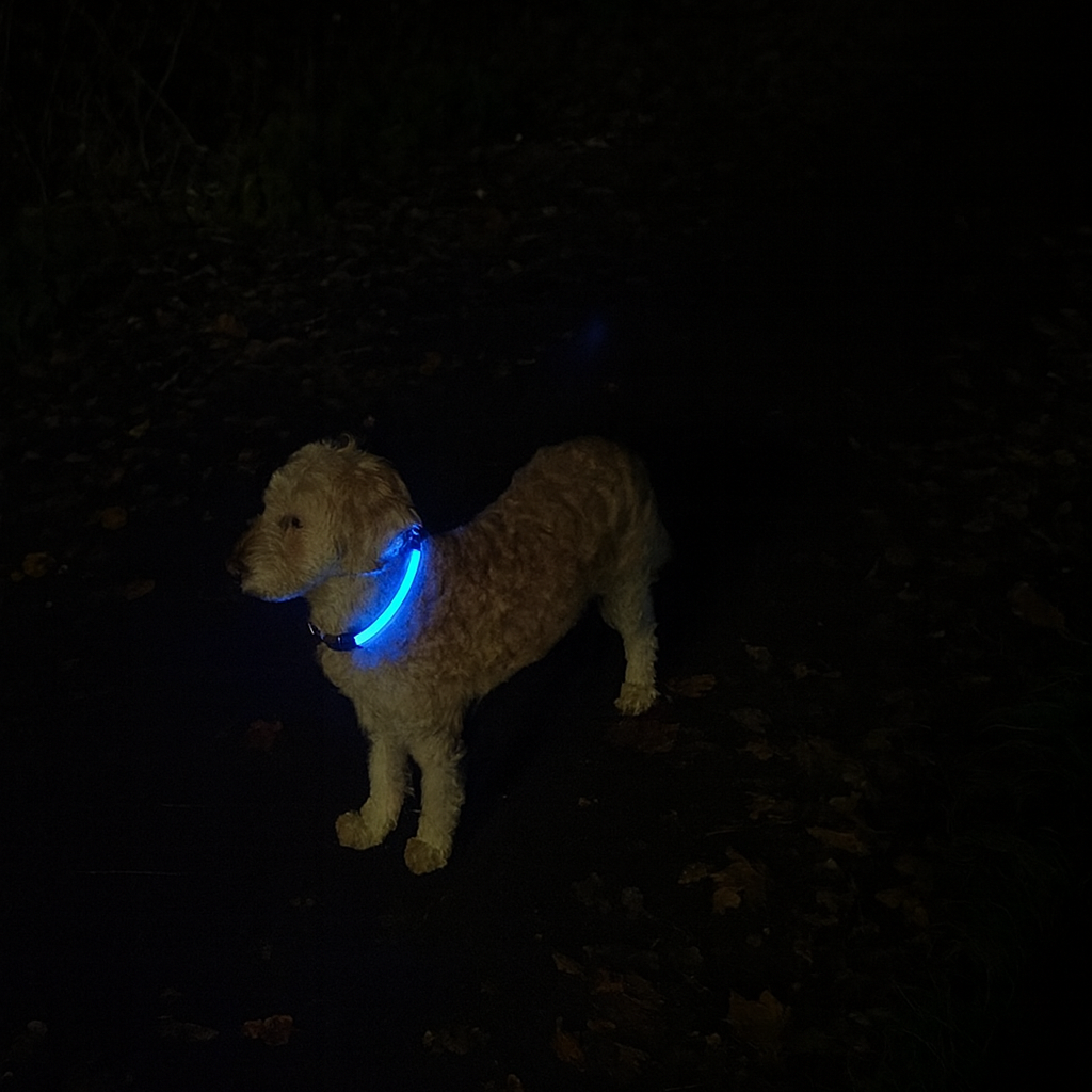 DogLight LED Halsband