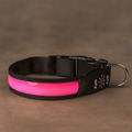 DogLight LED Halsband