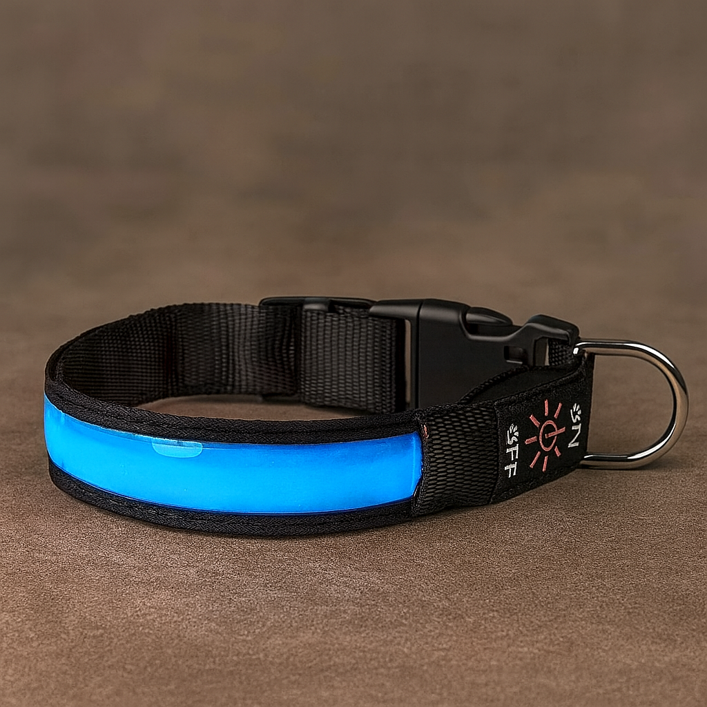 DogLight LED Halsband