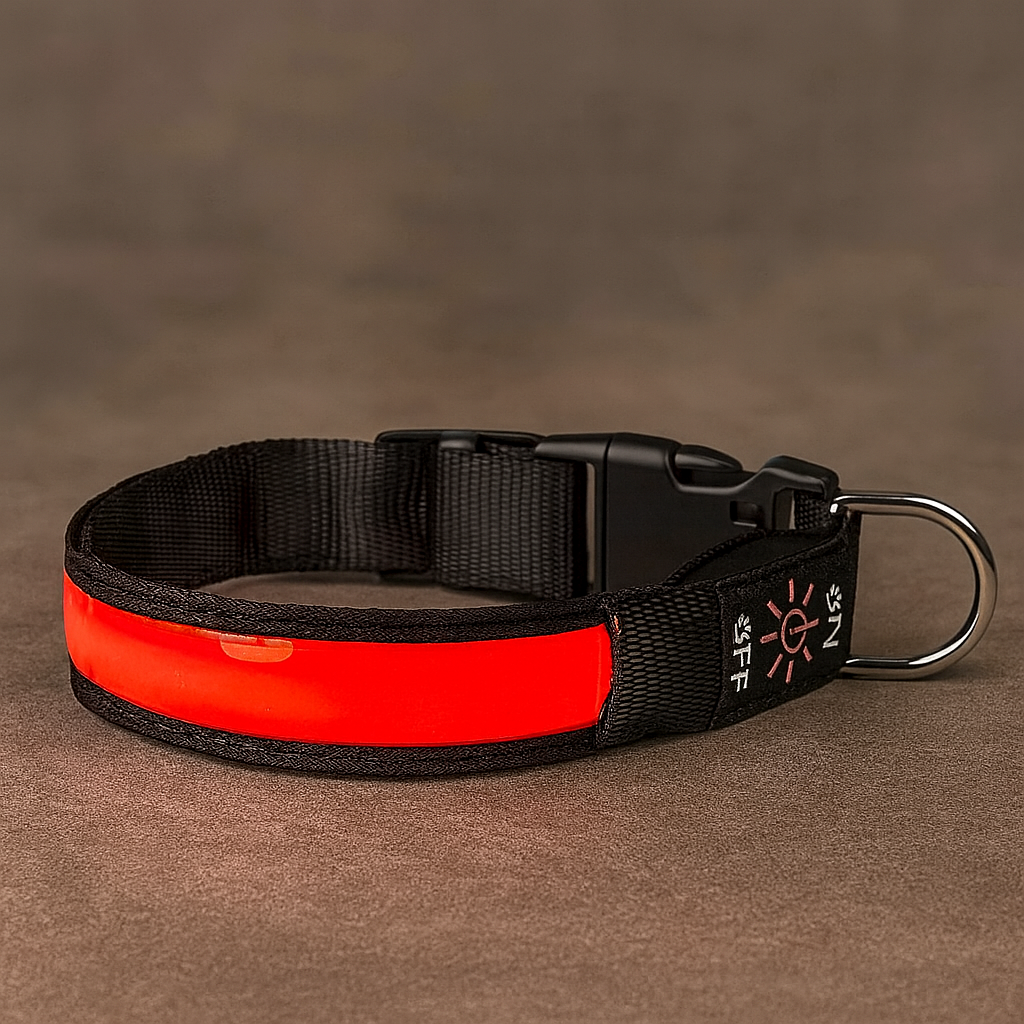 DogLight LED Halsband