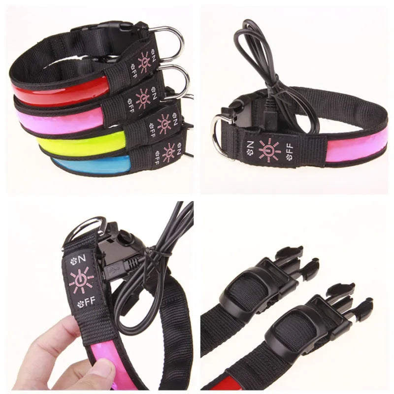 DogLight LED Halsband